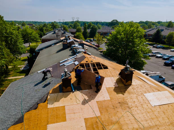 Leading Roofing Experts in the Concord Area