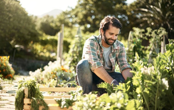 The Wellness Garden Code Unlocking Nature’s Healing Language